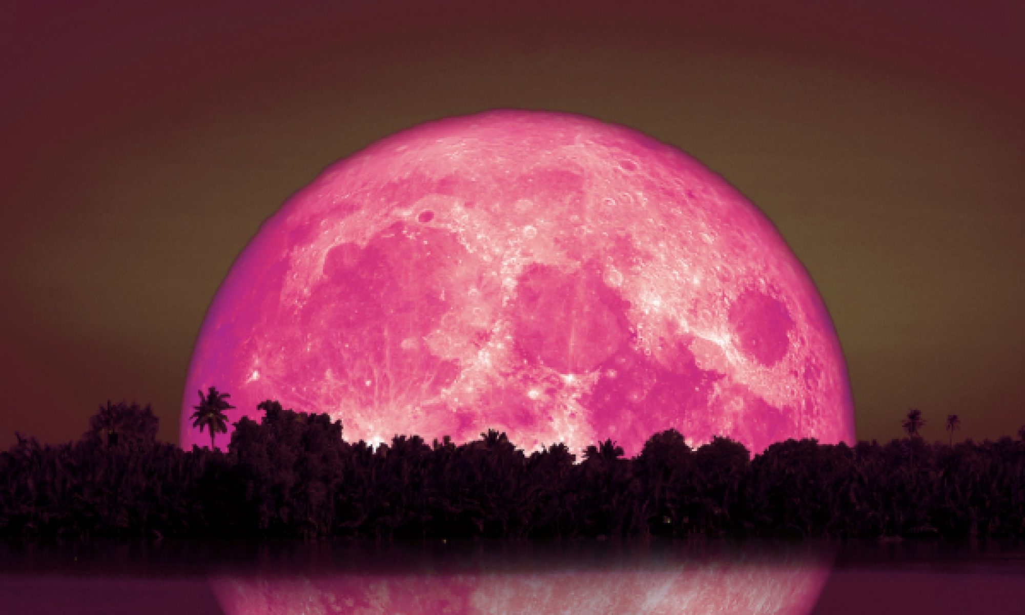 Writing Down the Moon blog